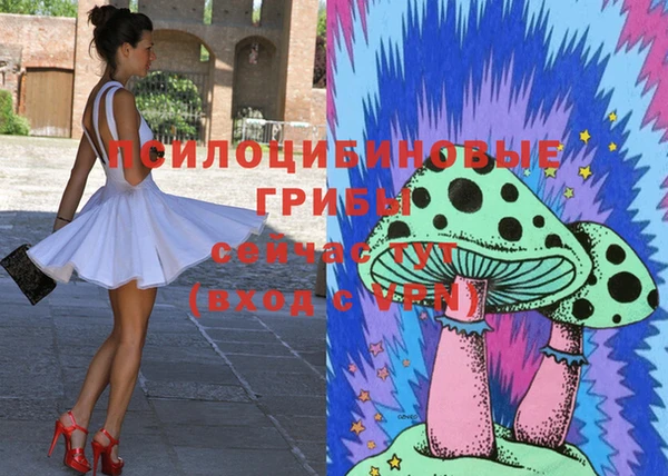 альфа пвп Кукмор