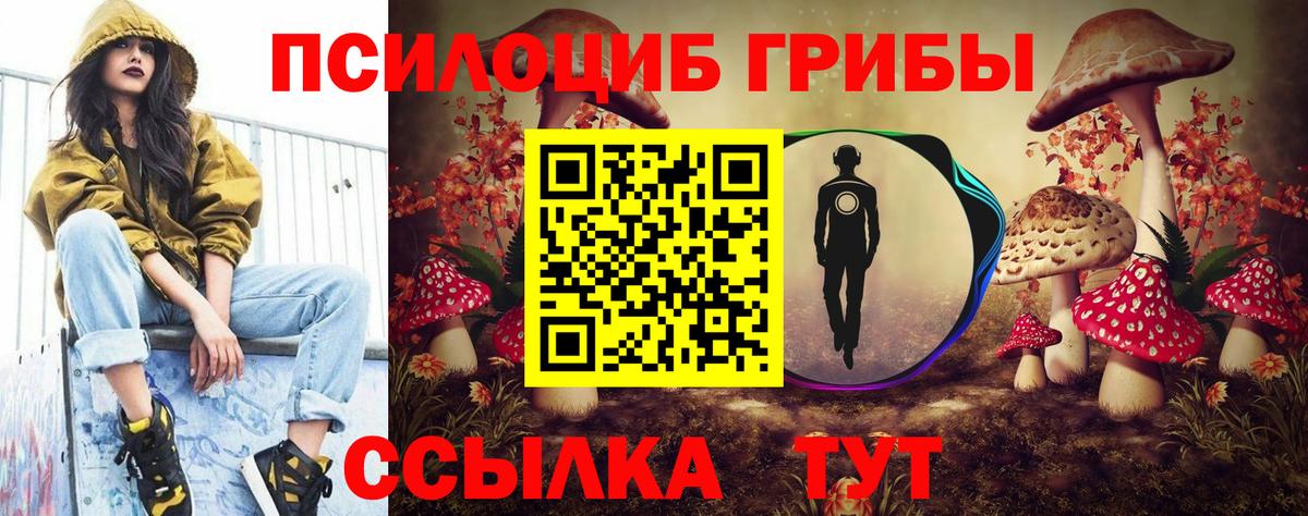 Находка  Галлюциногенные грибы MAGIC MUSHROOMS  Вход с VPN  Галлюциногенные грибы ЛСД 