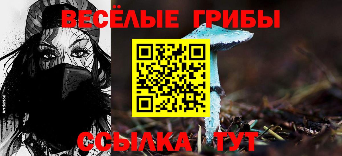 Галлюциногенные грибы Cubensis Находка